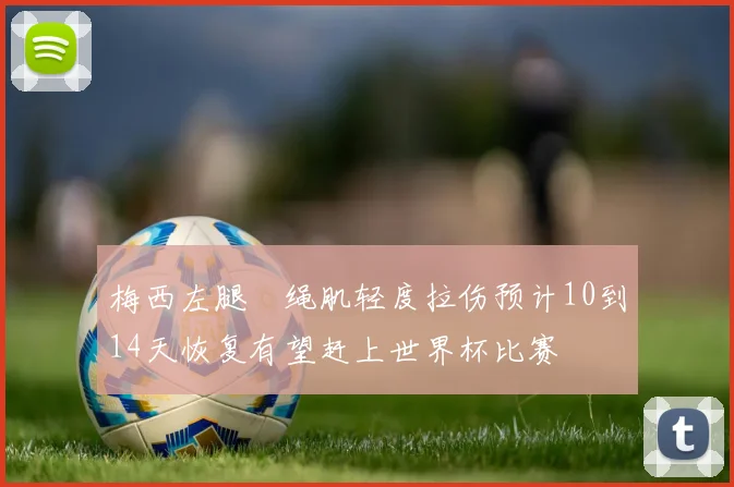 梅西左腿腘绳肌轻度拉伤预计10到14天恢复有望赶上世界杯比赛