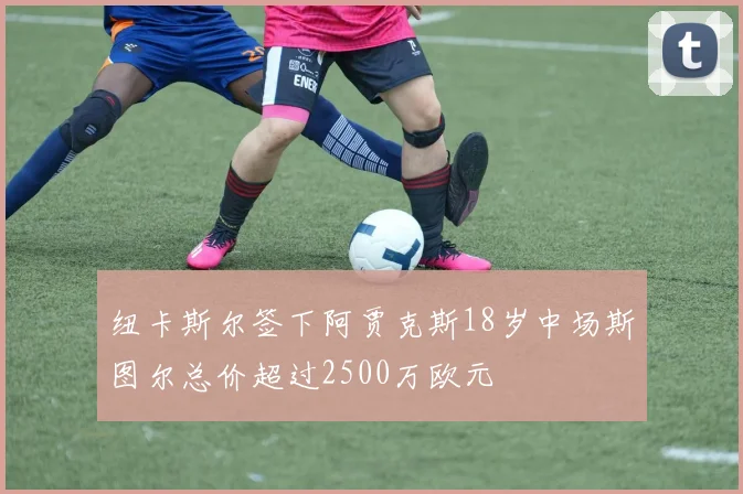 纽卡斯尔签下阿贾克斯18岁中场斯图尔总价超过2500万欧元